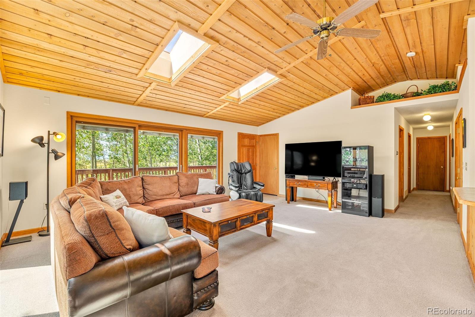MLS Image #3 for 318  foxtail lane,fairplay, Colorado