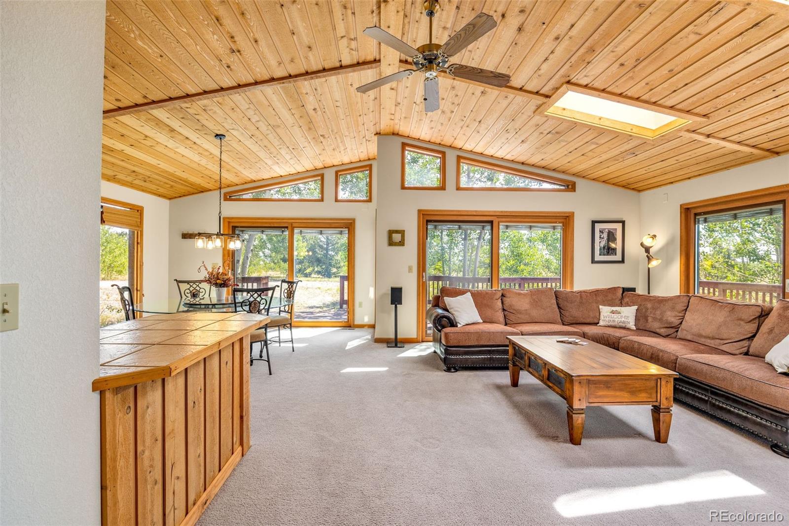 MLS Image #4 for 318  foxtail lane,fairplay, Colorado