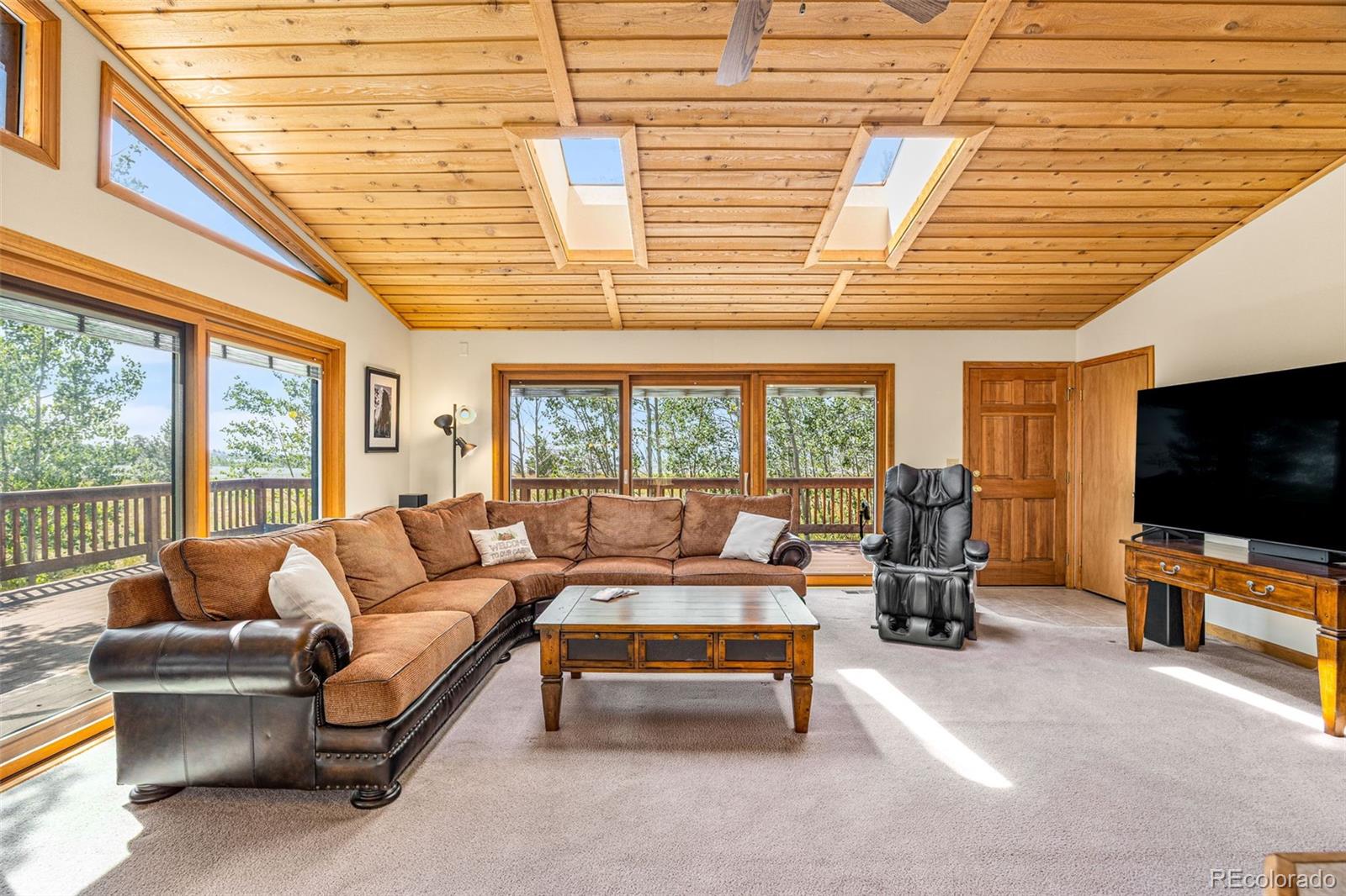 MLS Image #5 for 318  foxtail lane,fairplay, Colorado