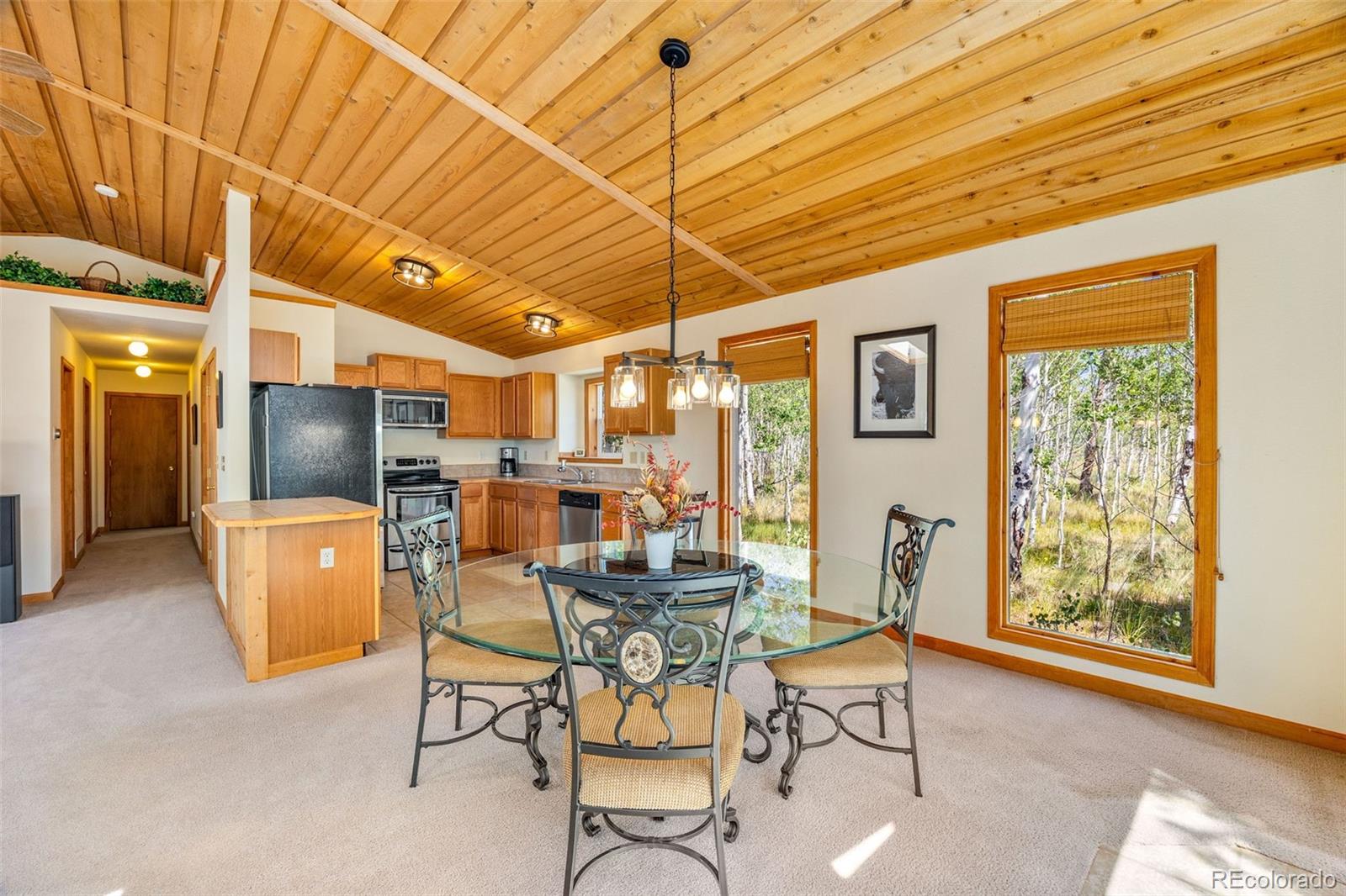 MLS Image #6 for 318  foxtail lane,fairplay, Colorado