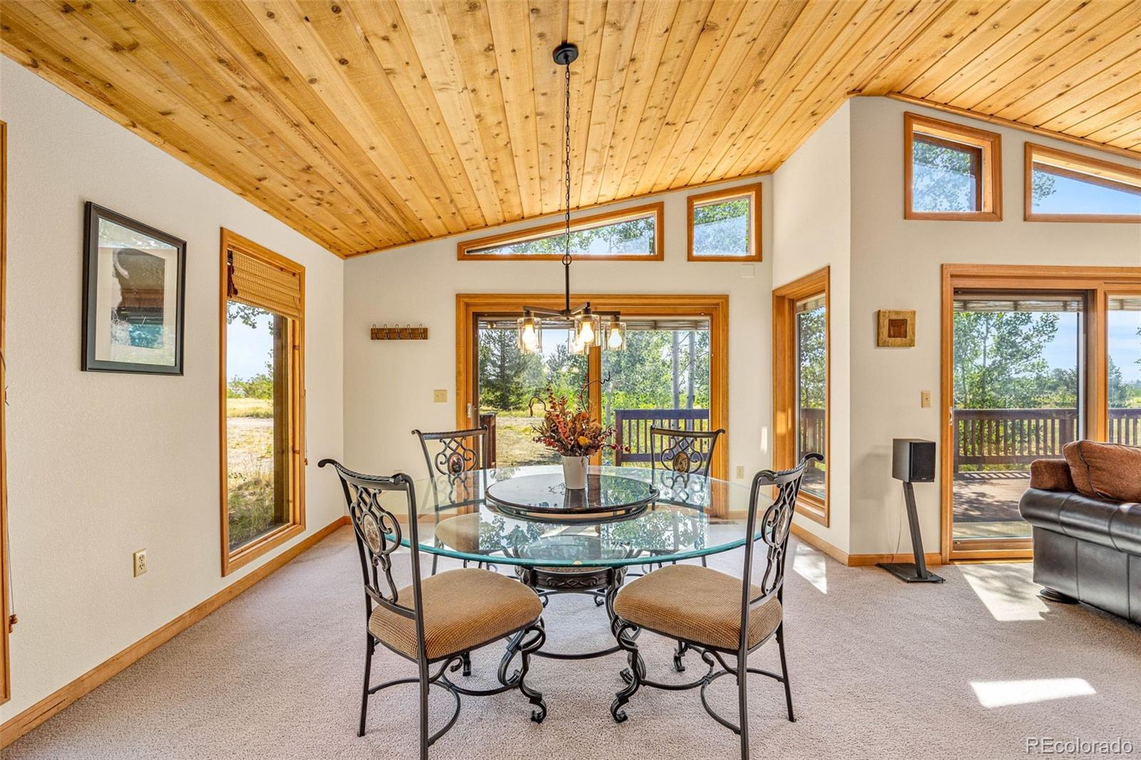 MLS Image #8 for 318  foxtail lane,fairplay, Colorado