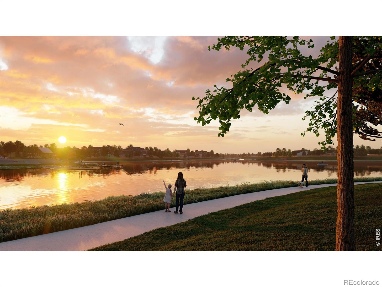 MLS Image #32 for 5828  tommy court,timnath, Colorado
