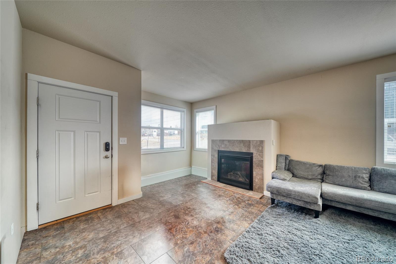 MLS Image #7 for 203  chestnut street,leadville, Colorado