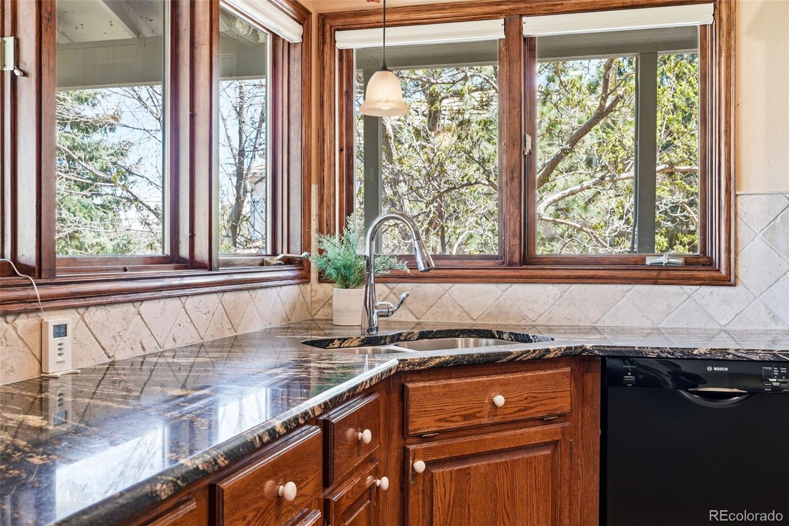 MLS Image #25 for 16880  wild plum circle,morrison, Colorado