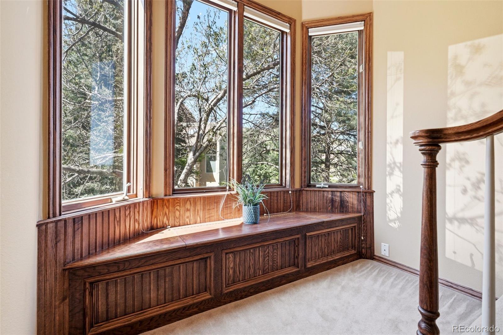 MLS Image #30 for 16880  wild plum circle,morrison, Colorado