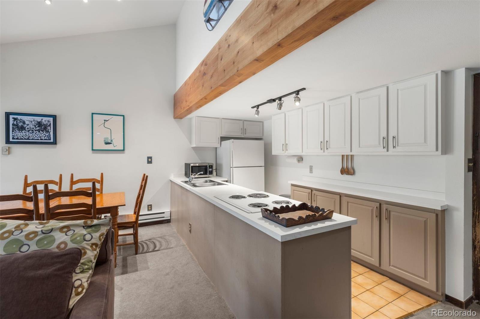 MLS Image #12 for 393  wild irishman road,keystone, Colorado