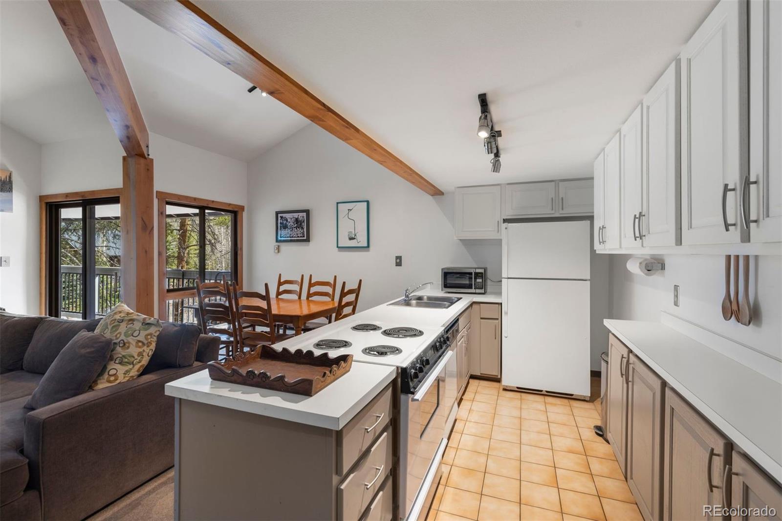 MLS Image #13 for 393  wild irishman road,keystone, Colorado