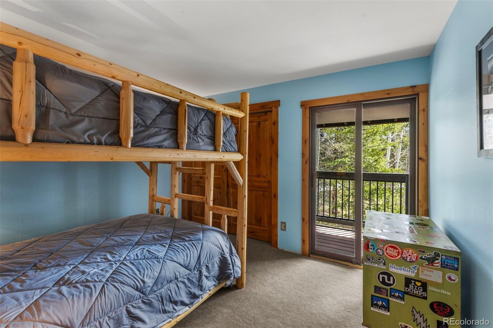 MLS Image #17 for 393  wild irishman road,keystone, Colorado