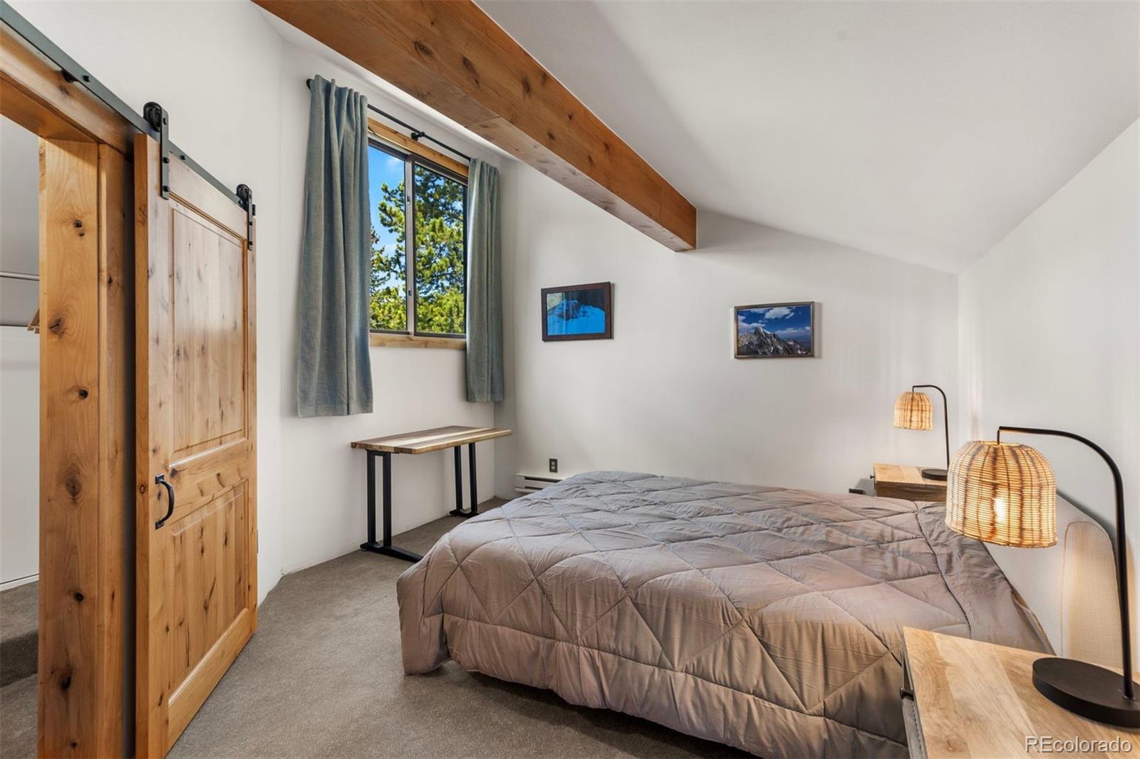 MLS Image #20 for 393  wild irishman road,keystone, Colorado