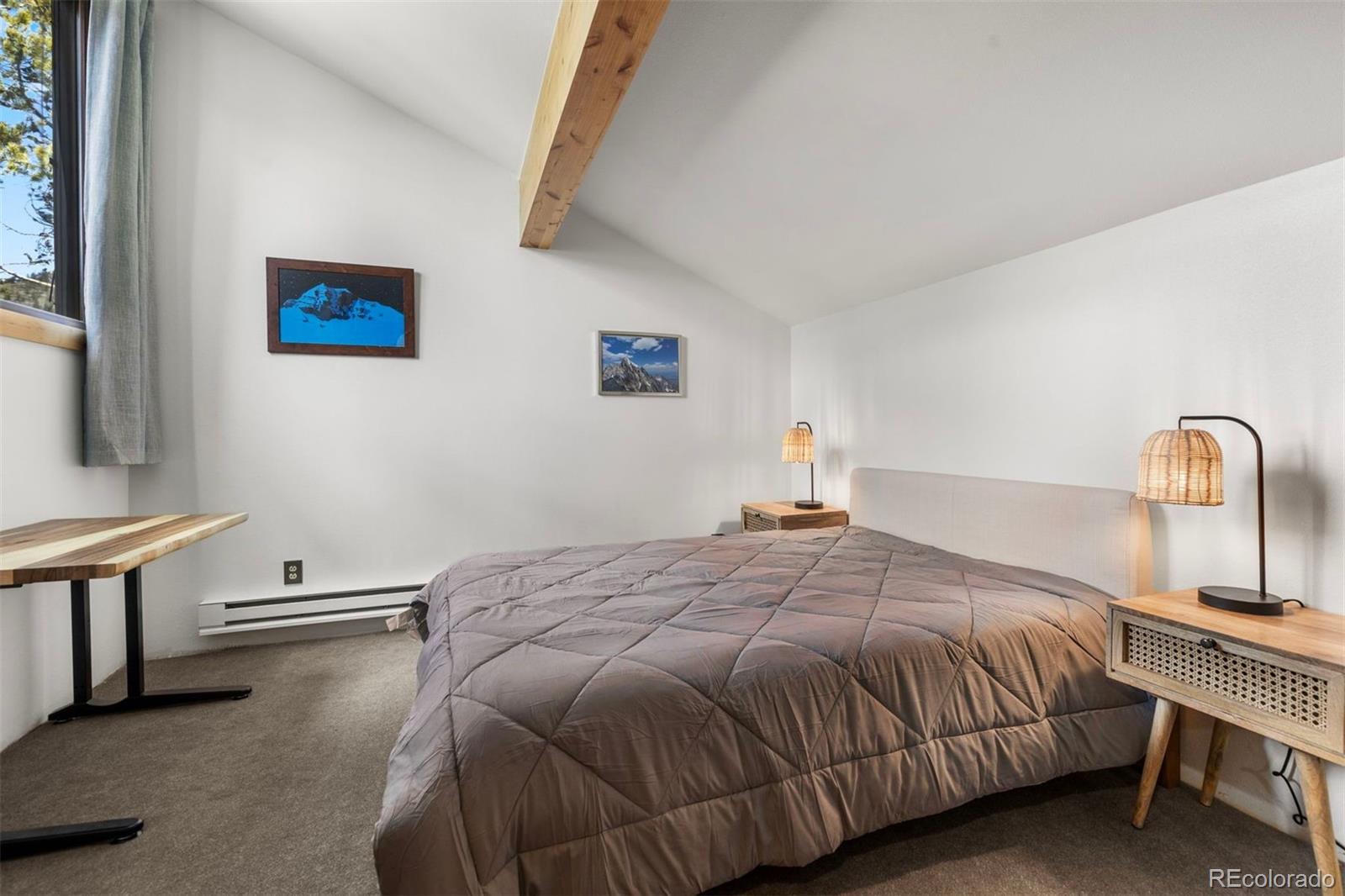 MLS Image #21 for 393  wild irishman road,keystone, Colorado