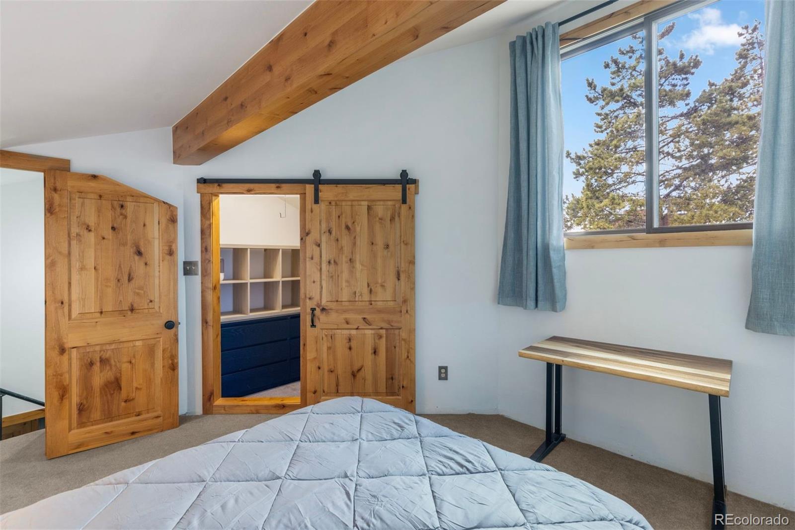 MLS Image #24 for 393  wild irishman road,keystone, Colorado