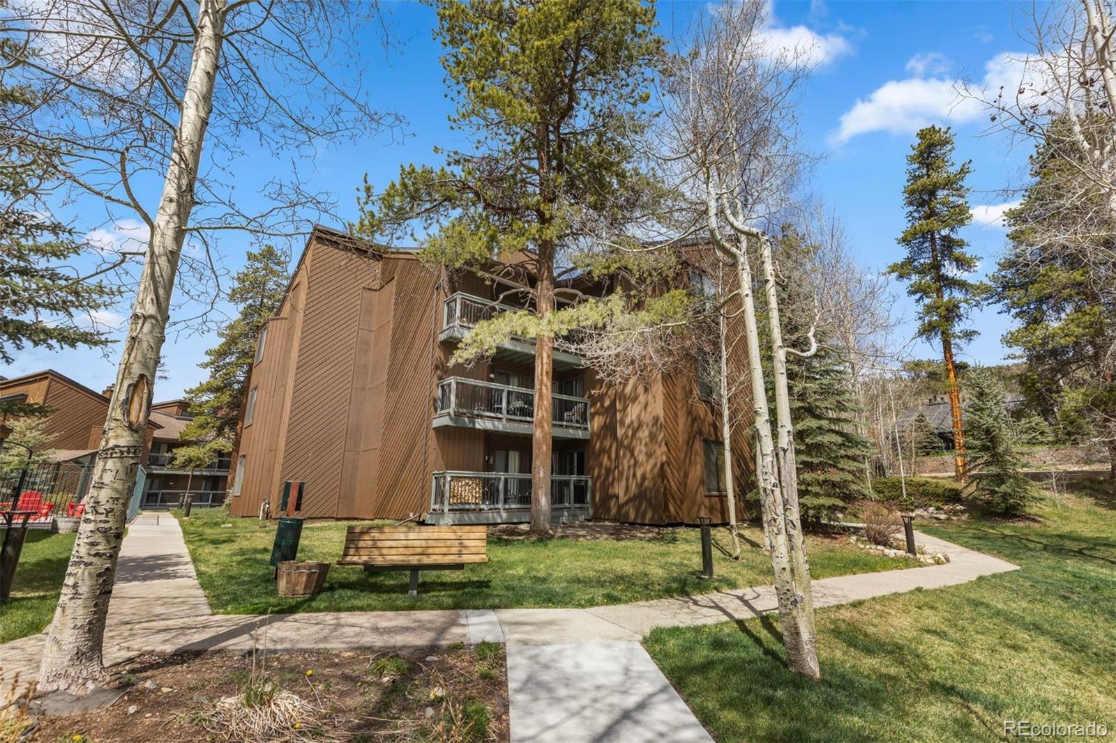 MLS Image #29 for 393  wild irishman road,keystone, Colorado