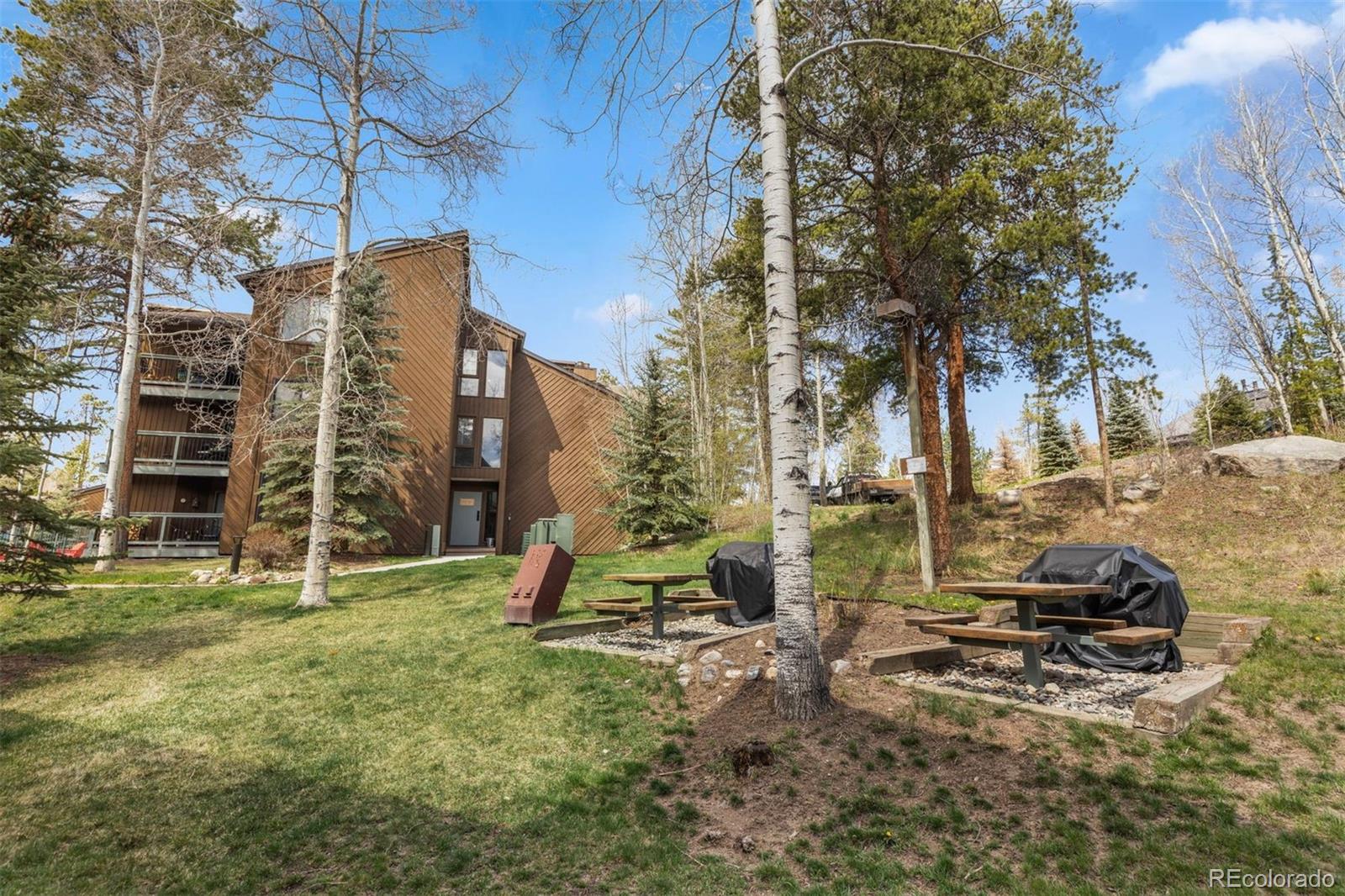 MLS Image #30 for 393  wild irishman road,keystone, Colorado