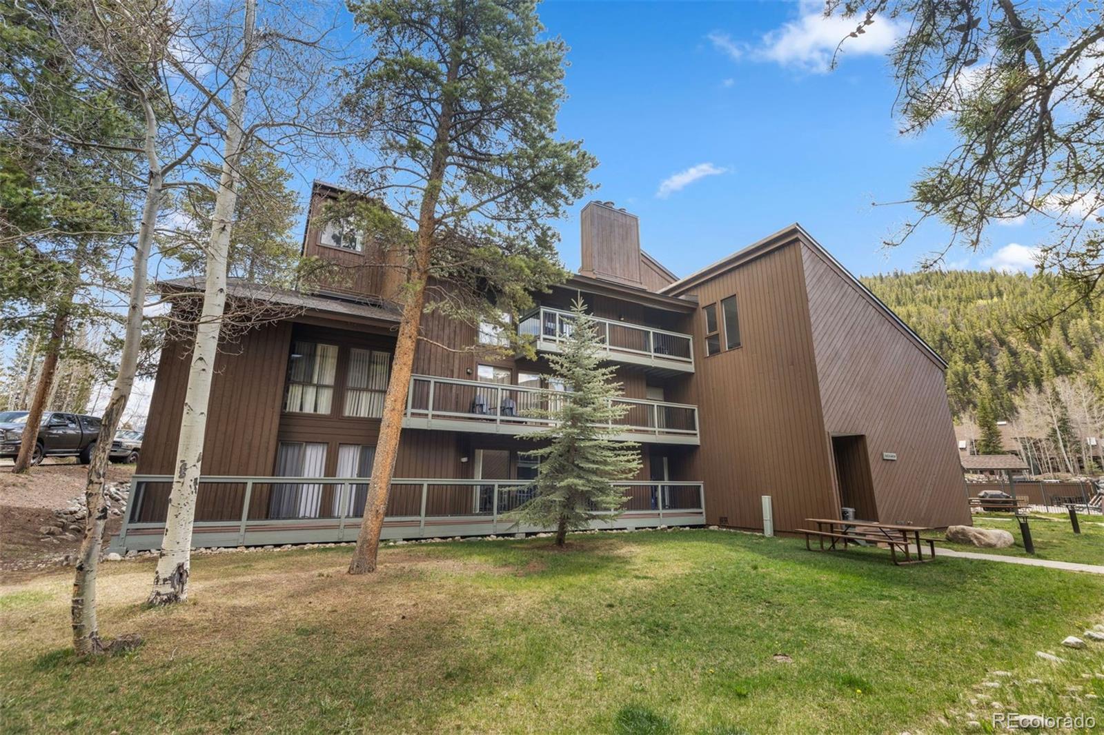 MLS Image #33 for 393  wild irishman road,keystone, Colorado