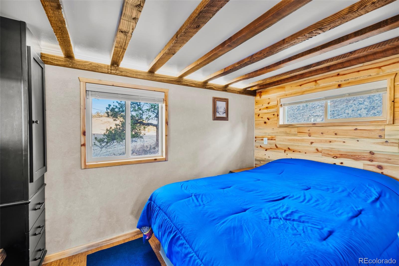 MLS Image #13 for 189  goldenburg canyon road,hartsel, Colorado