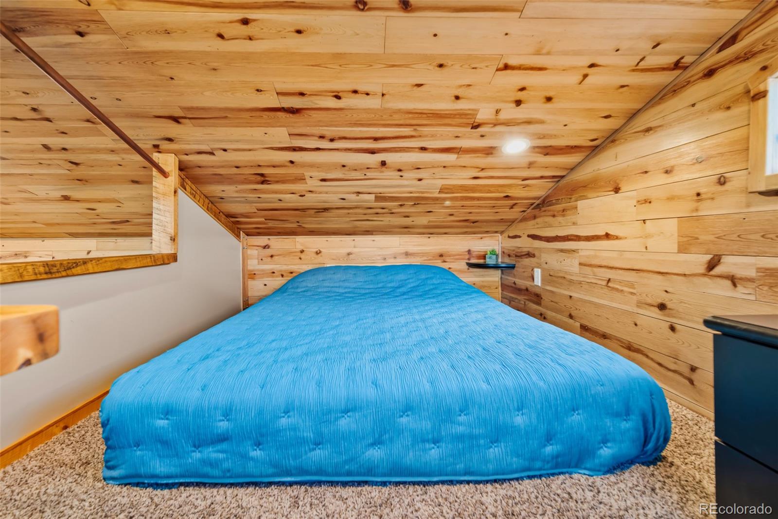 MLS Image #15 for 189  goldenburg canyon road,hartsel, Colorado