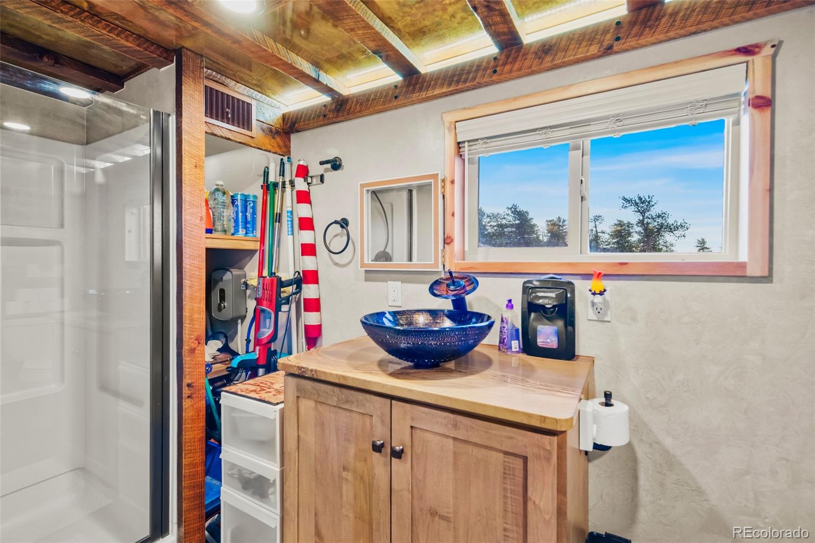 MLS Image #3 for 189  goldenburg canyon road,hartsel, Colorado
