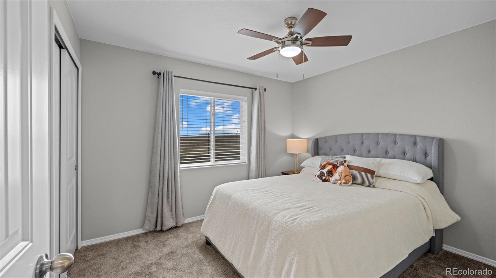 MLS Image #18 for 3786  vineyard circle,colorado springs, Colorado