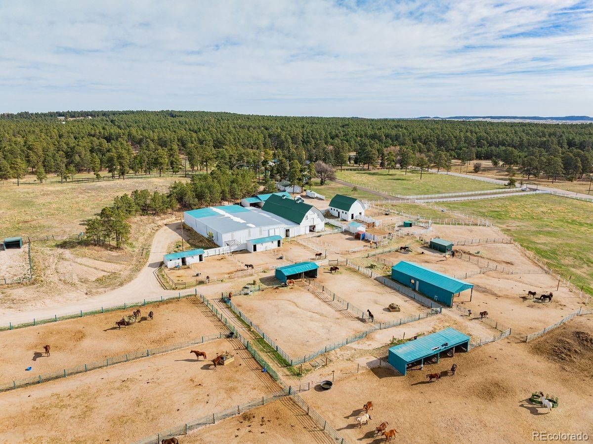 MLS Image #2 for 13354 n meridian road,elbert, Colorado