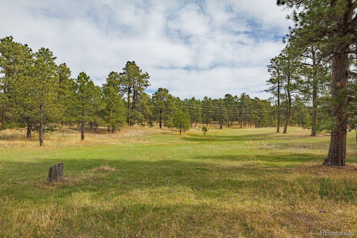 MLS Image #24 for 13354 n meridian road,elbert, Colorado