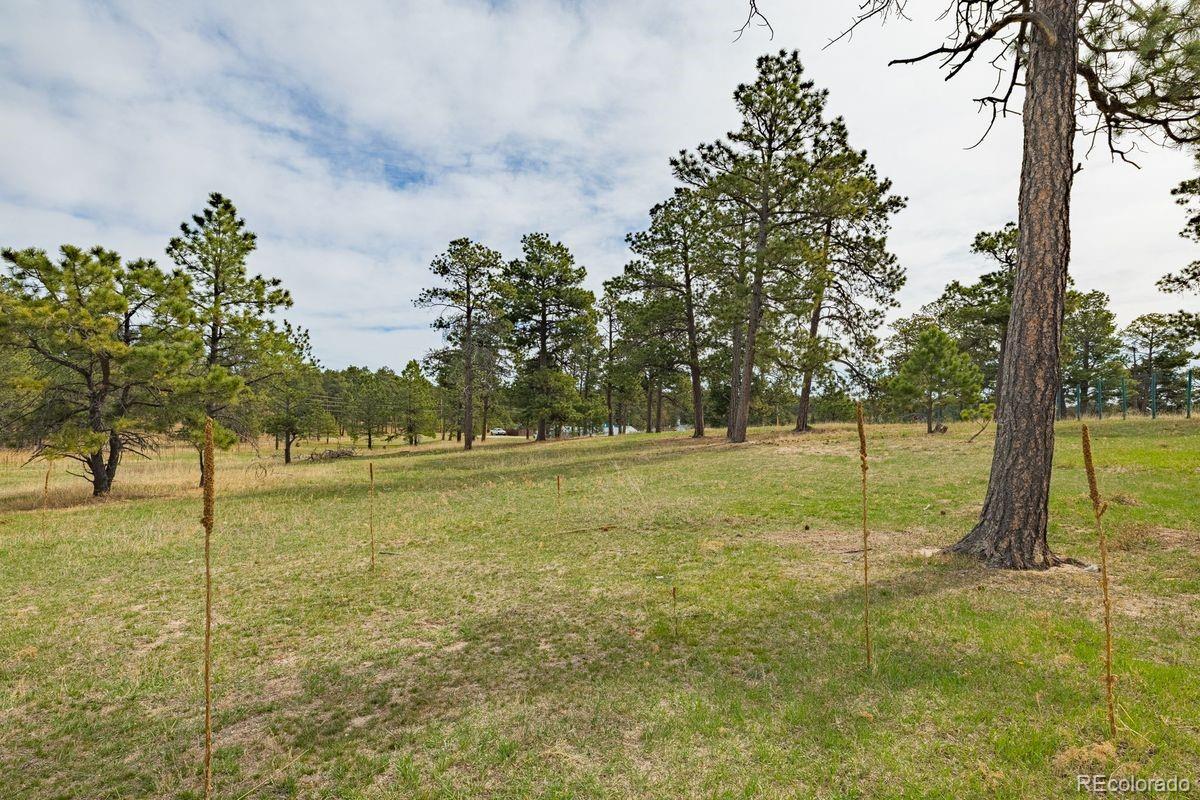 MLS Image #25 for 13354 n meridian road,elbert, Colorado