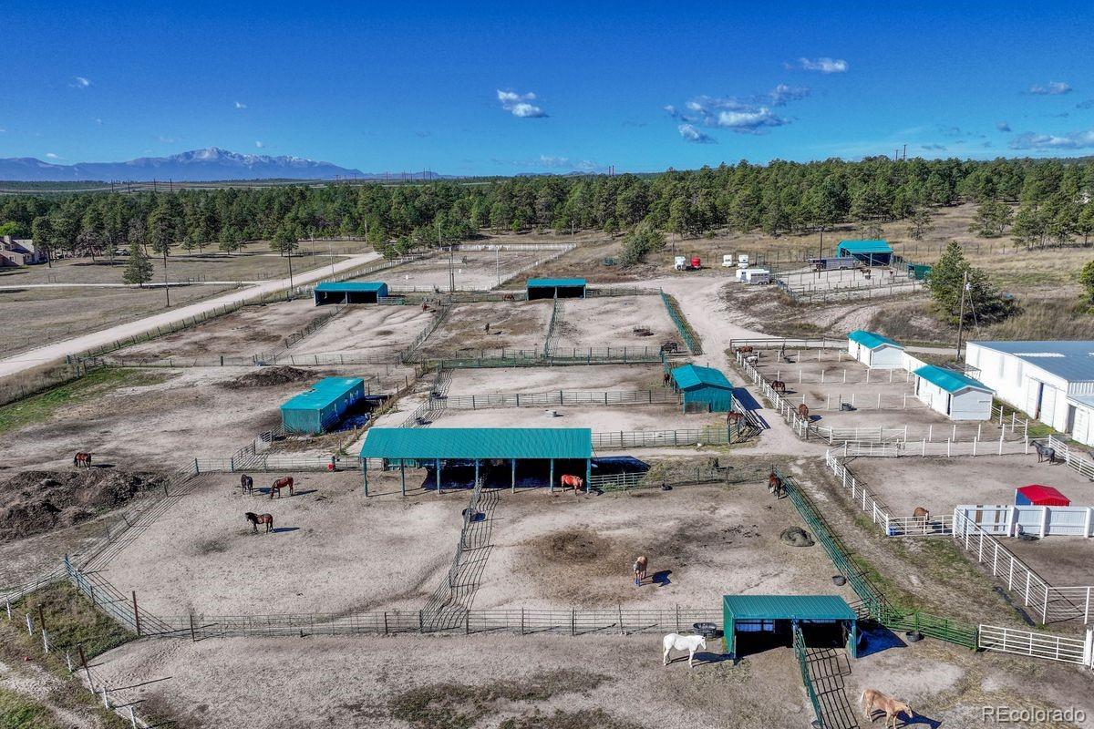 MLS Image #41 for 13354 n meridian road,elbert, Colorado