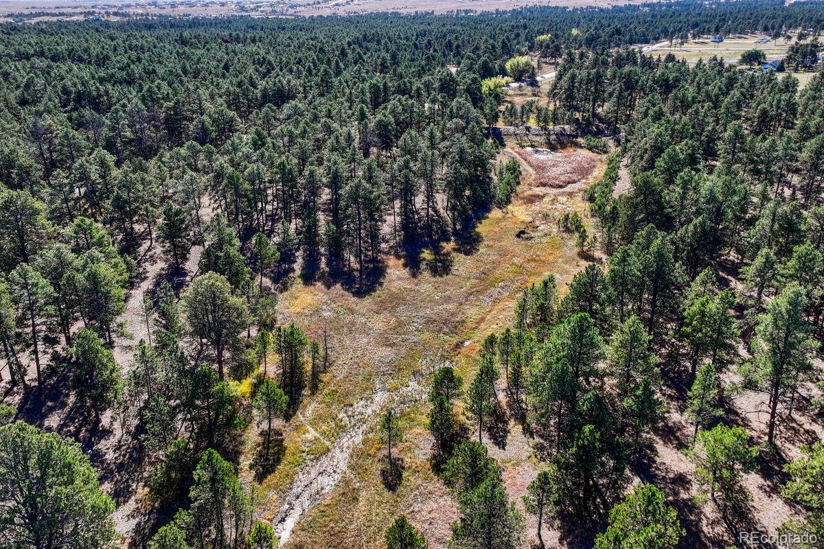 MLS Image #8 for 13354 n meridian road,elbert, Colorado