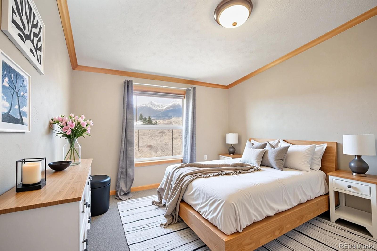 MLS Image #22 for 28829  castle rock circle,buena vista, Colorado