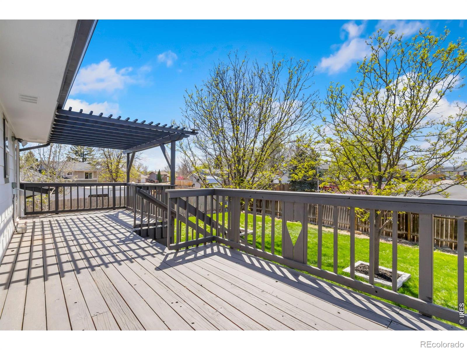 MLS Image #5 for 803  table mountain court,windsor, Colorado