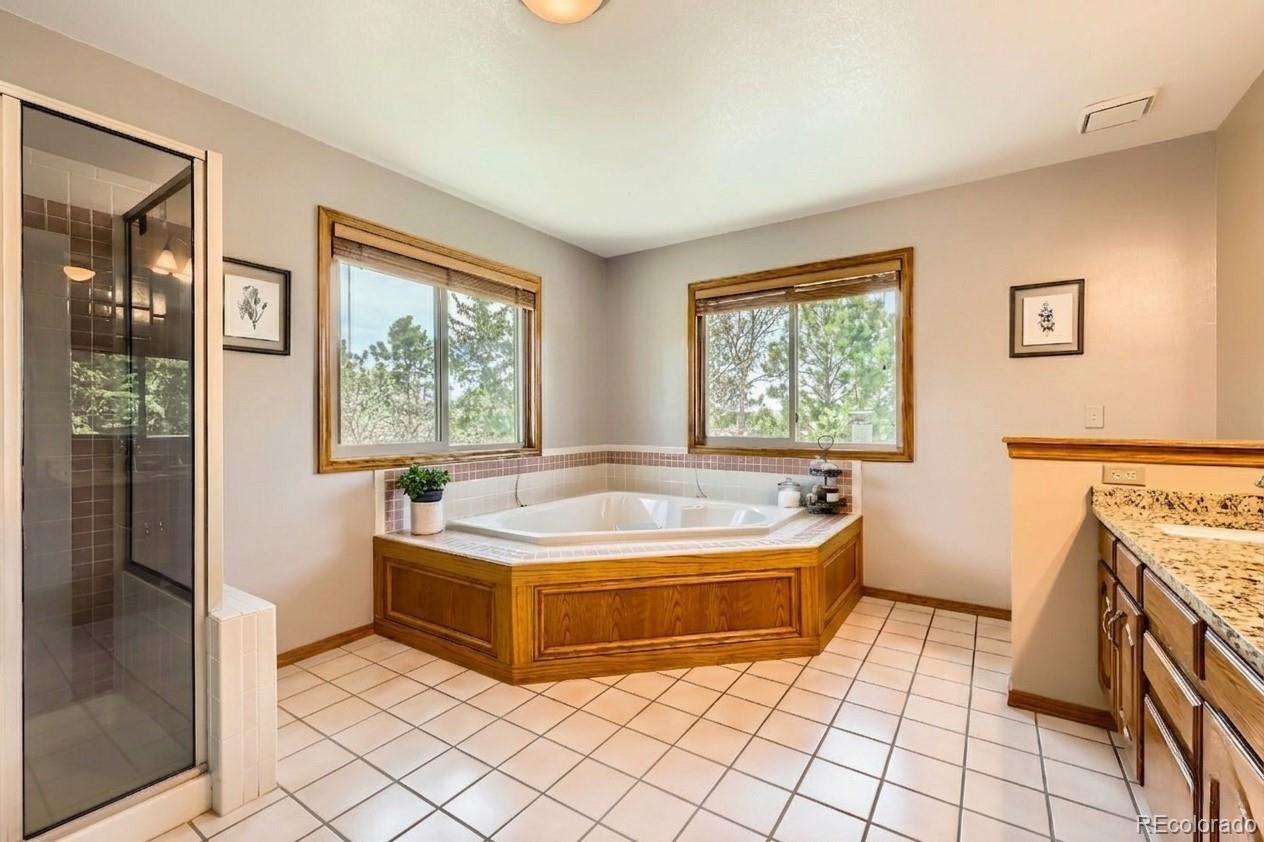 MLS Image #25 for 1310  spinnaker trail,monument, Colorado
