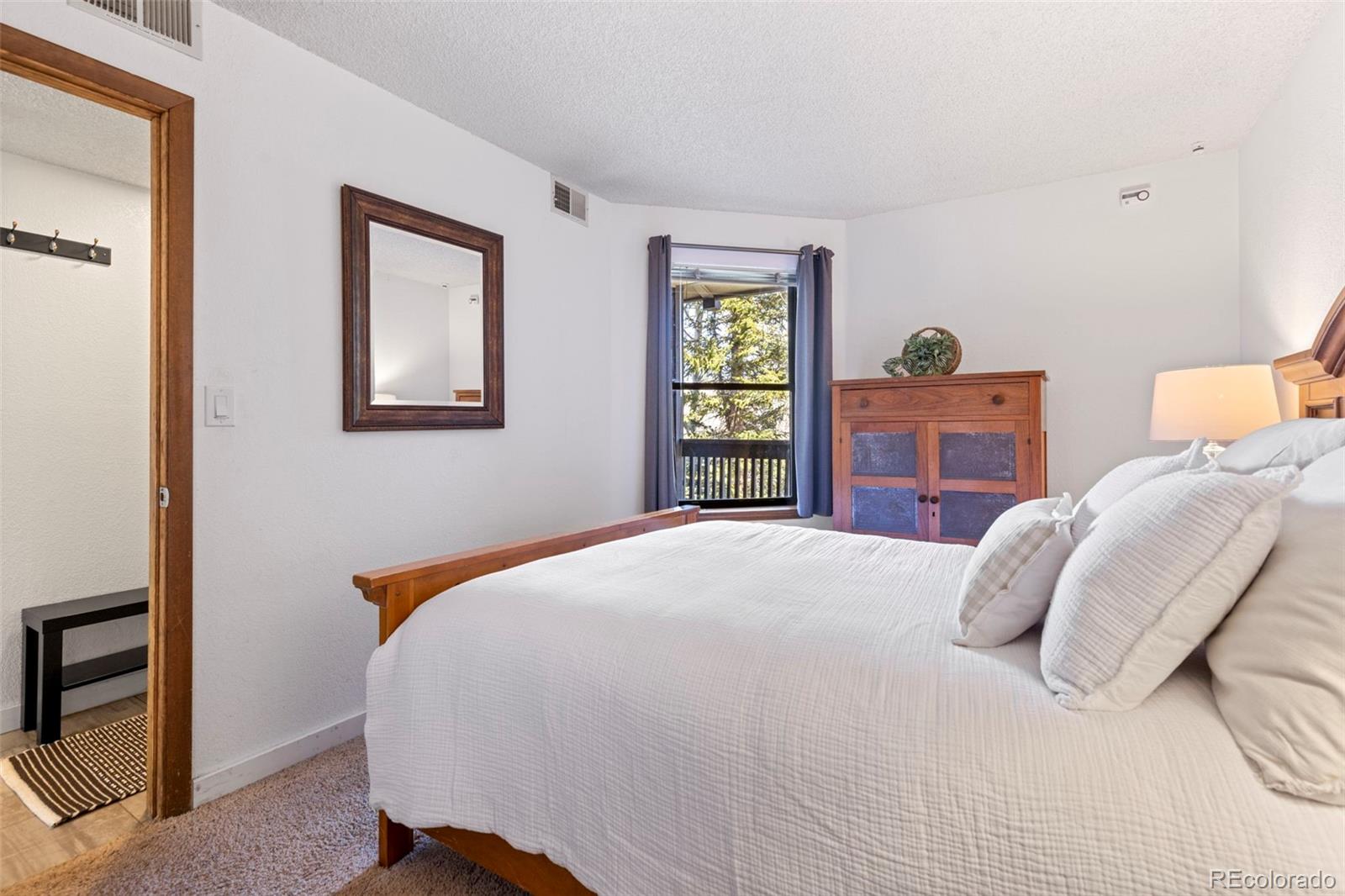 MLS Image #20 for 805 s 5th avenue,frisco, Colorado