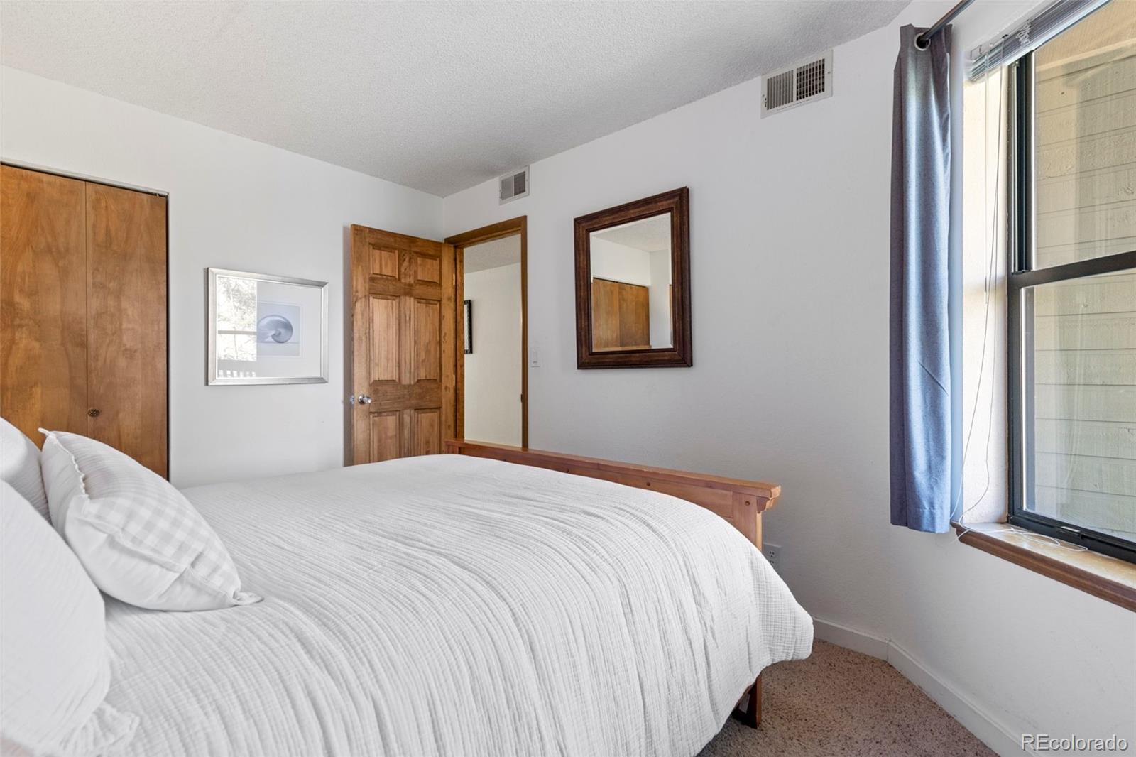 MLS Image #21 for 805 s 5th avenue,frisco, Colorado