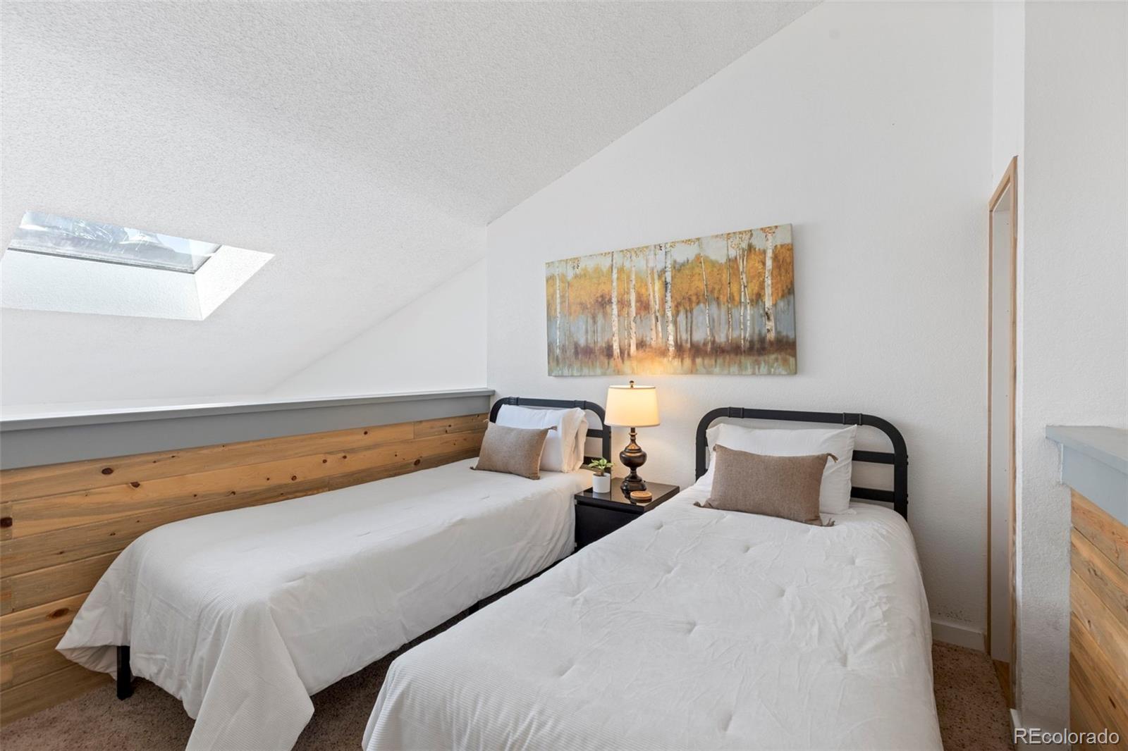 MLS Image #22 for 805 s 5th avenue,frisco, Colorado