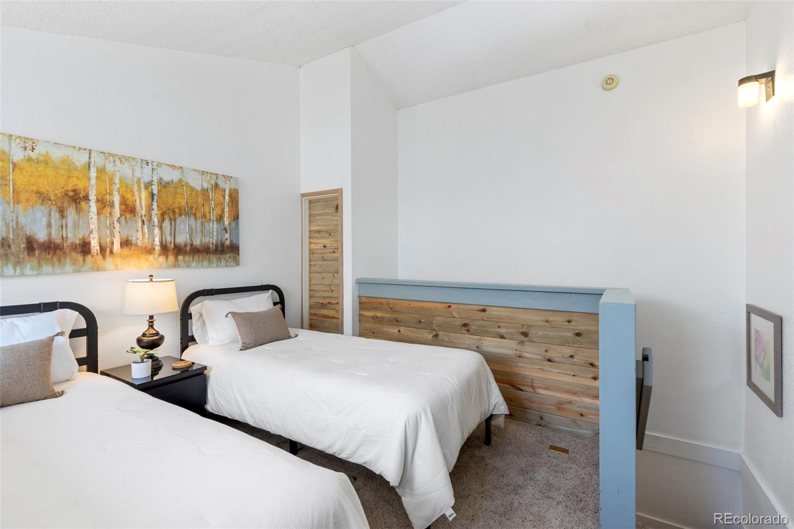 MLS Image #23 for 805 s 5th avenue,frisco, Colorado
