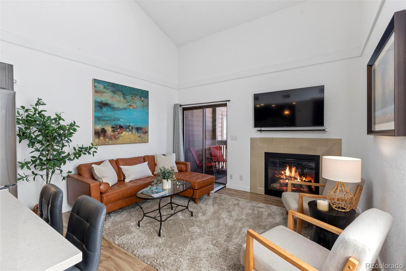 MLS Image #6 for 805 s 5th avenue,frisco, Colorado