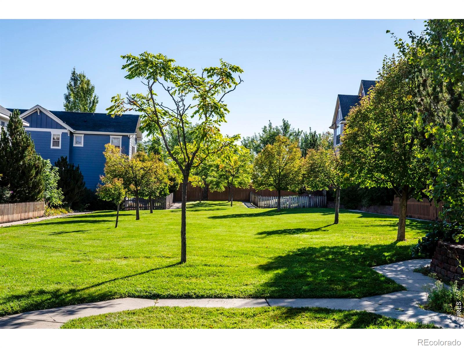 MLS Image #5 for 696  homestead street,lafayette, Colorado