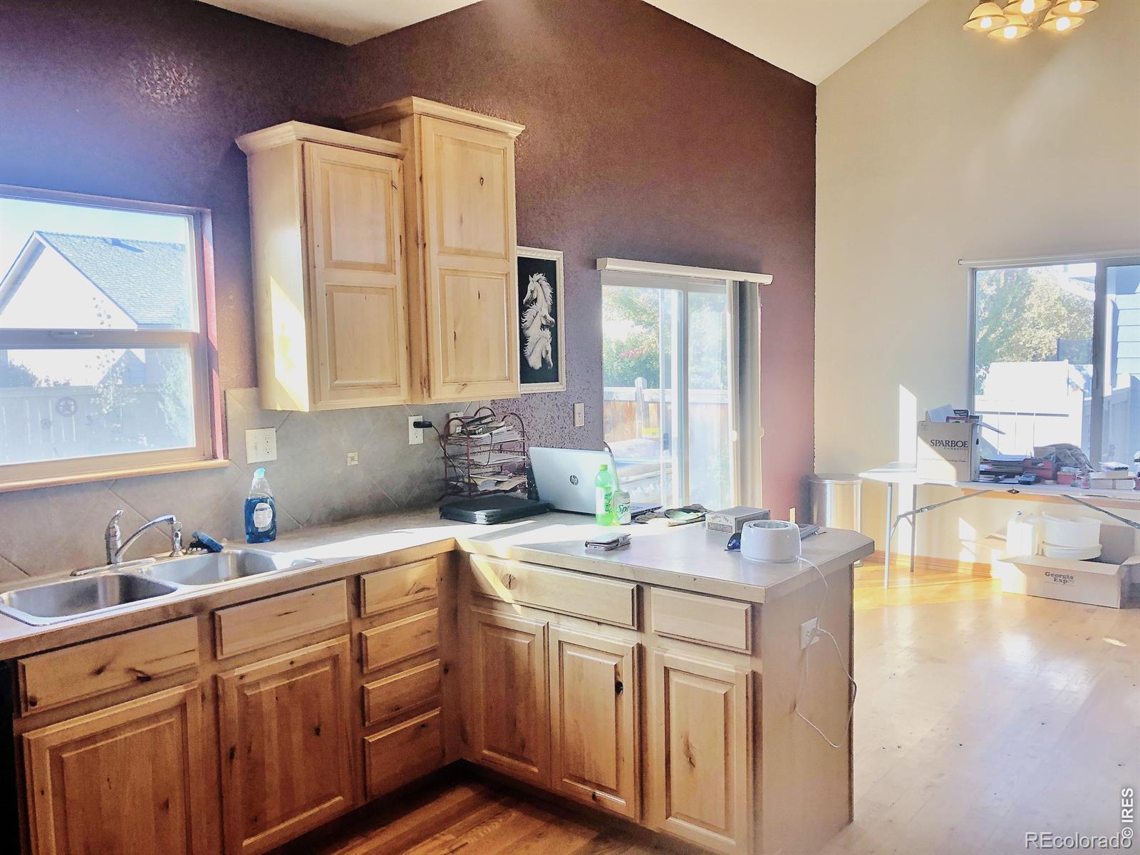 MLS Image #13 for 3243  ambush drive,wellington, Colorado