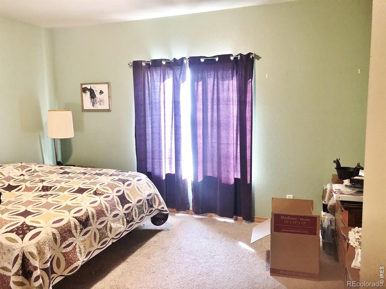 MLS Image #18 for 3243  ambush drive,wellington, Colorado