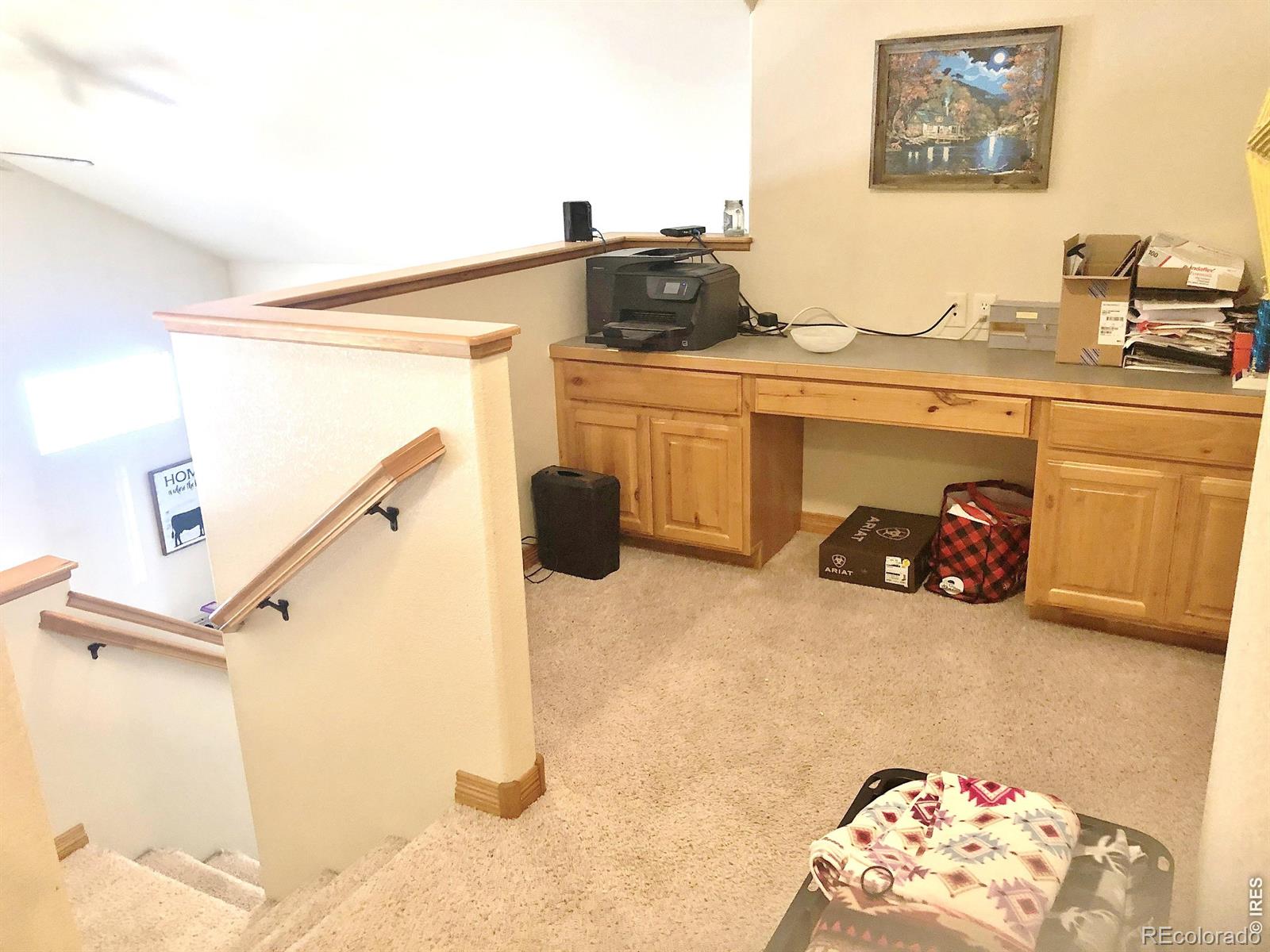 MLS Image #22 for 3243  ambush drive,wellington, Colorado