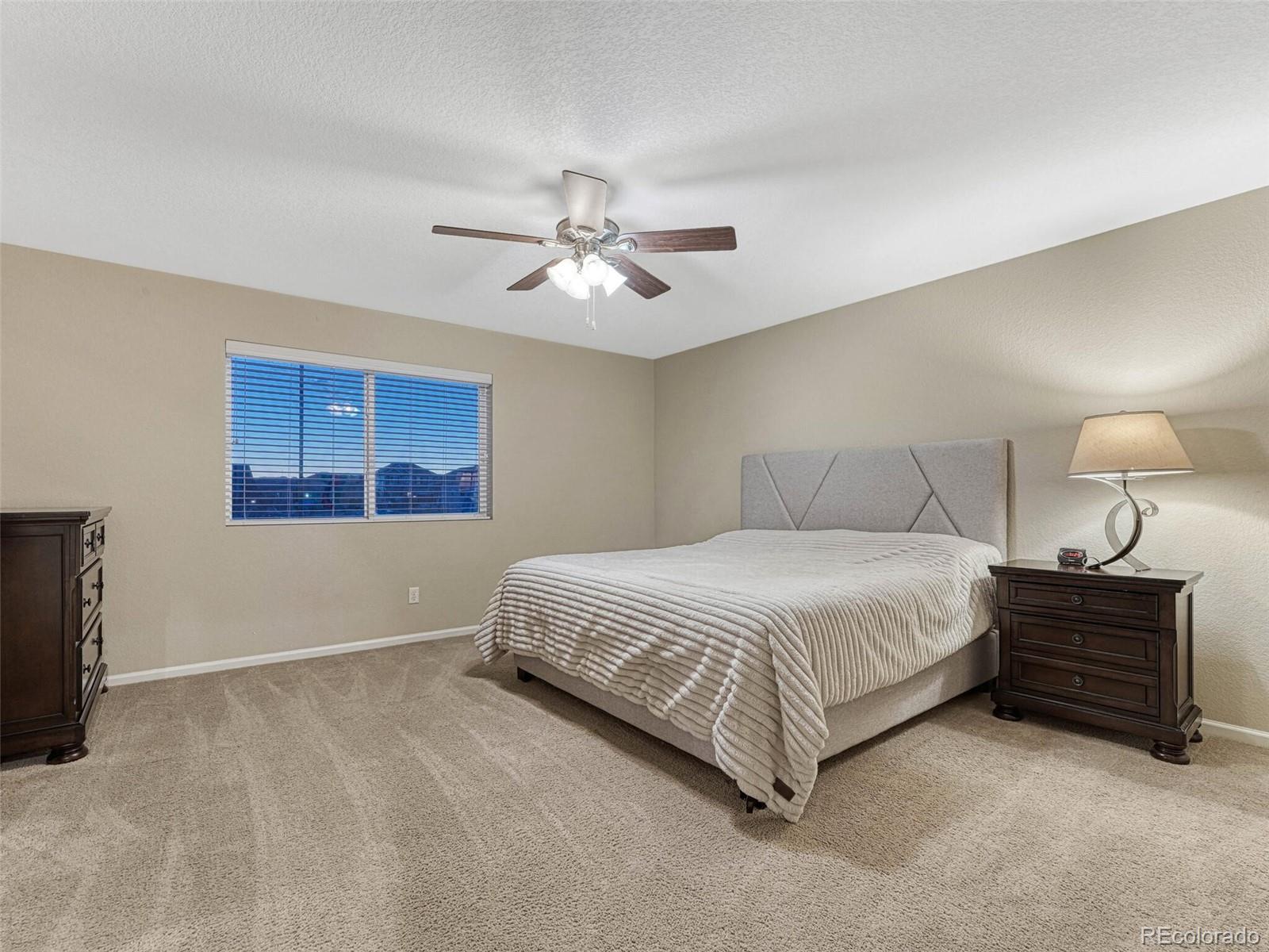 MLS Image #22 for 7310  blue water drive,castle rock, Colorado