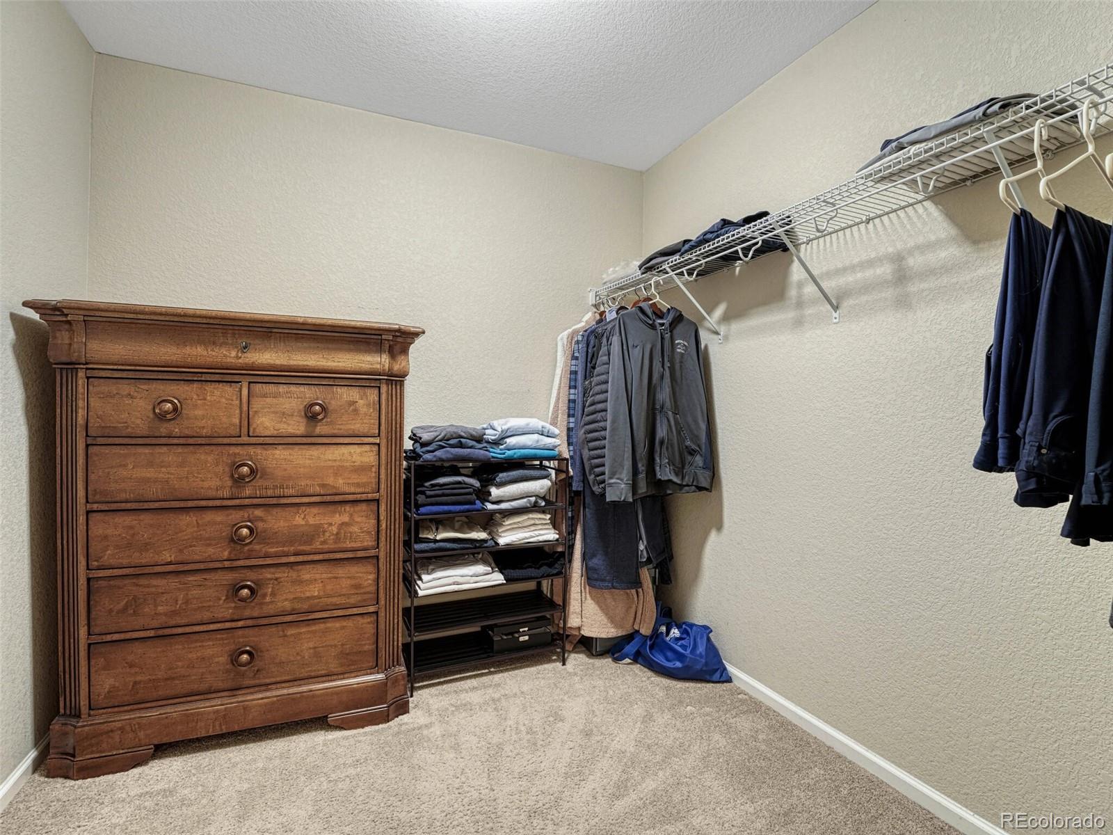MLS Image #29 for 7310  blue water drive,castle rock, Colorado