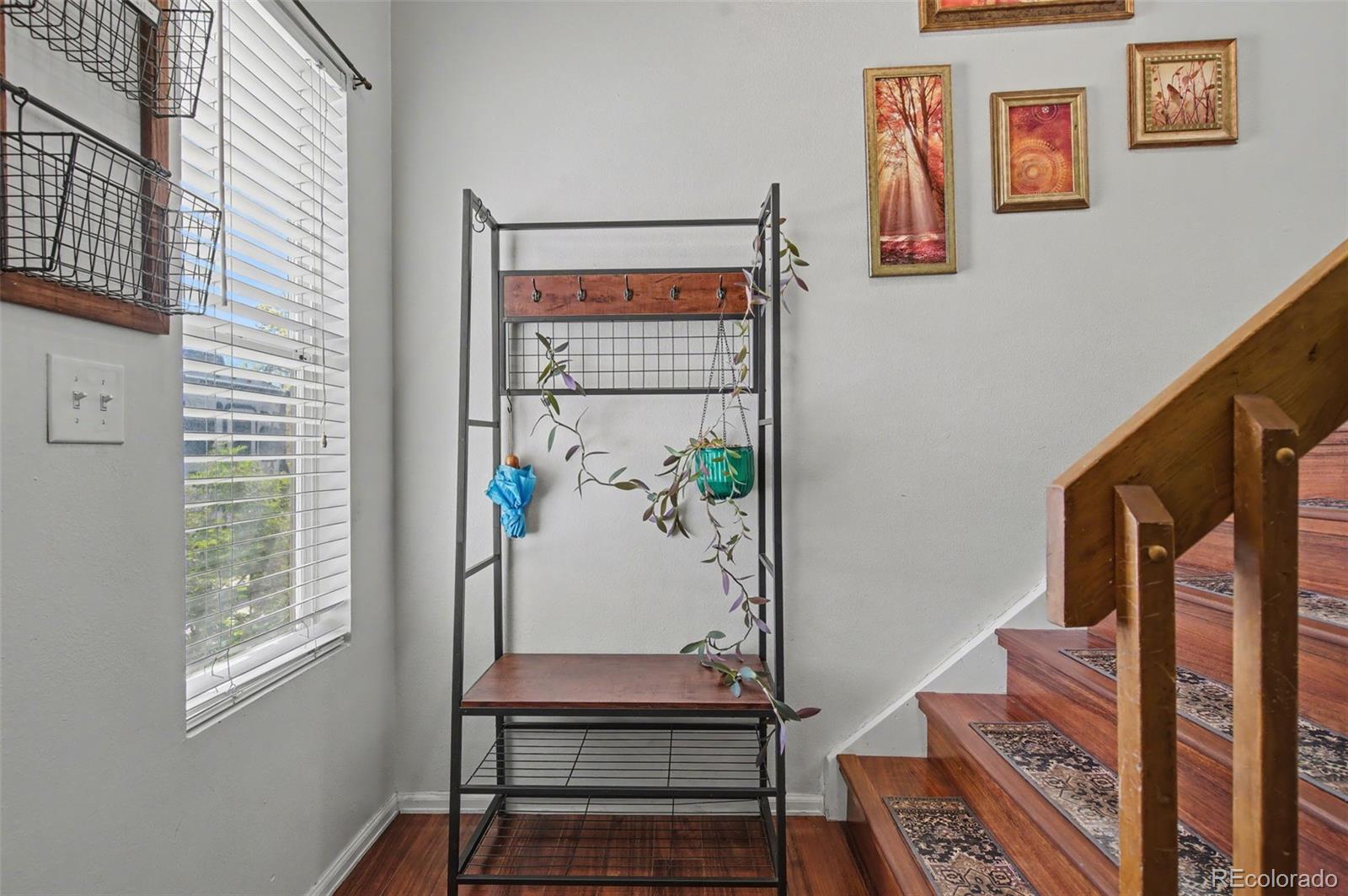 MLS Image #4 for 4550  borden drive,colorado springs, Colorado