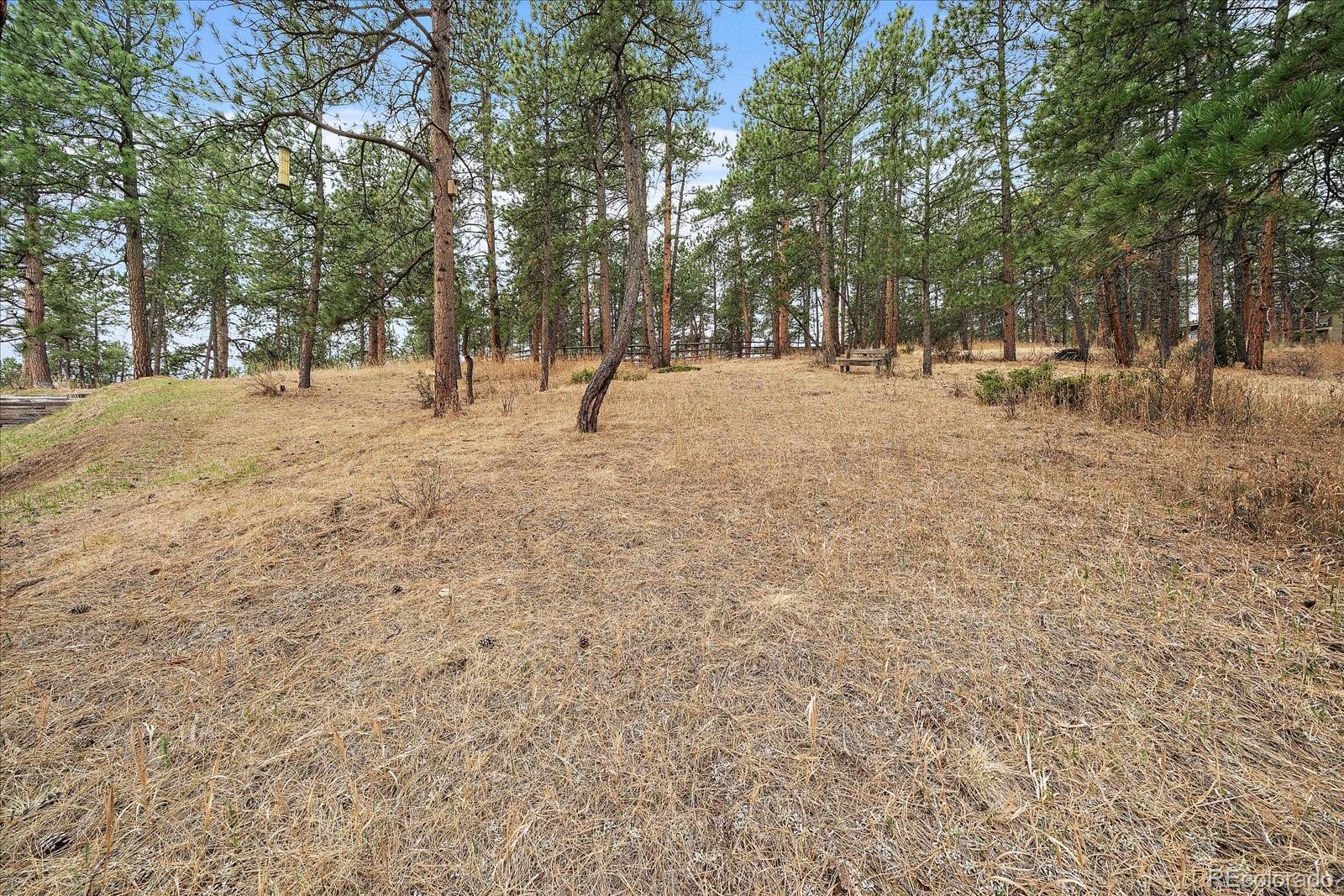 MLS Image #39 for 4039  histead way,evergreen, Colorado