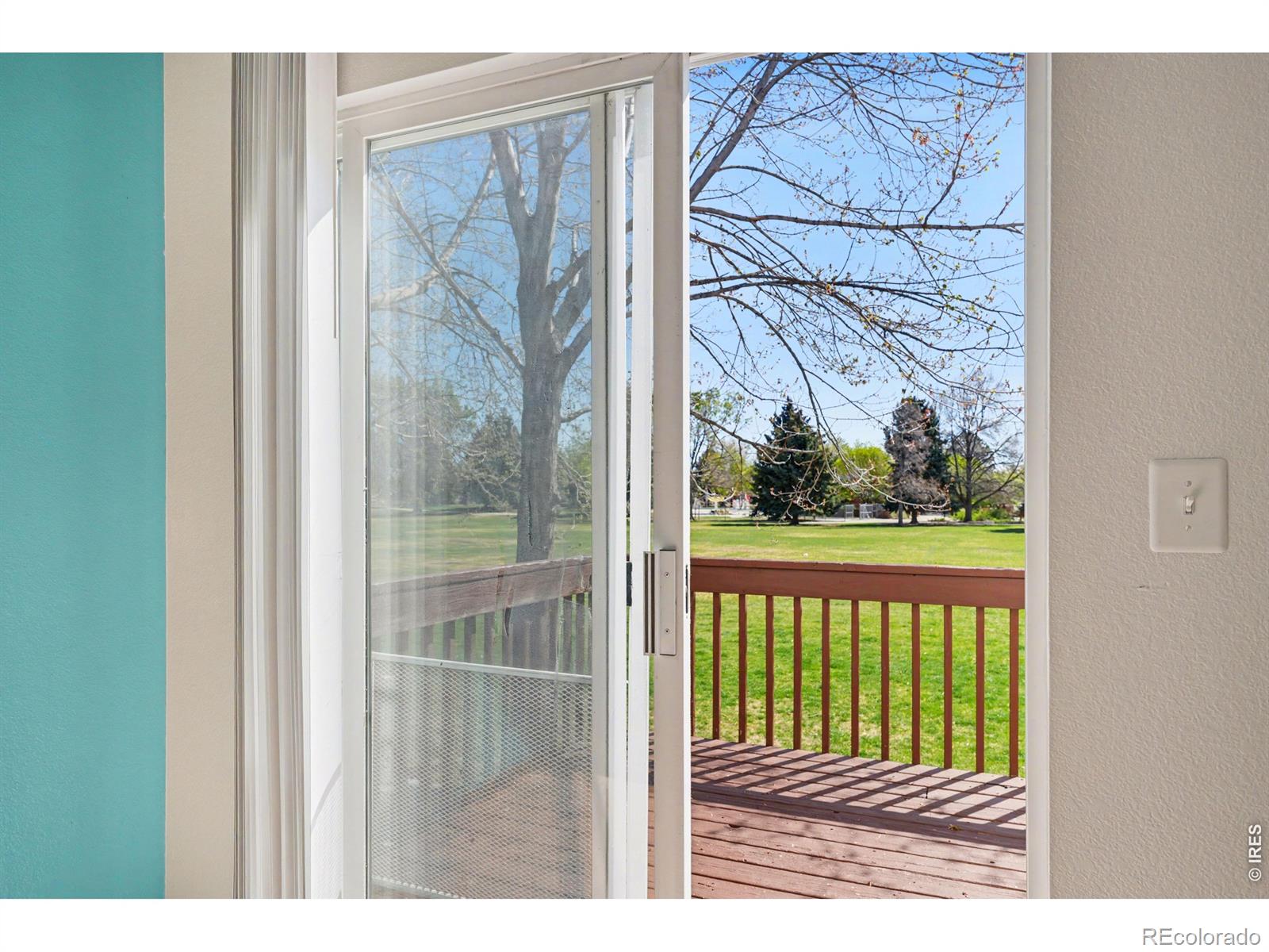 MLS Image #5 for 312  dean court,loveland, Colorado