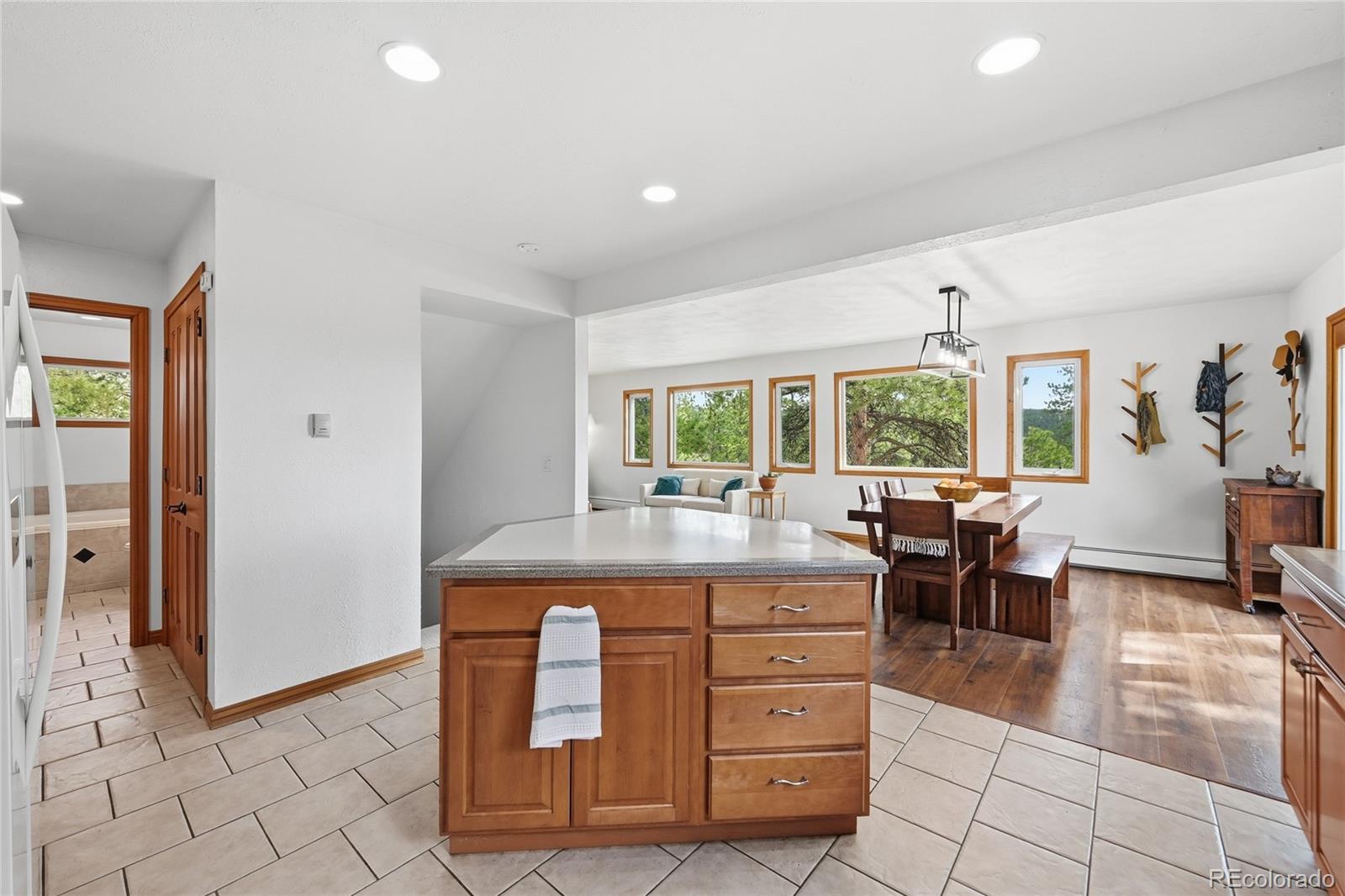 MLS Image #11 for 4718  county road 72 ,bailey, Colorado