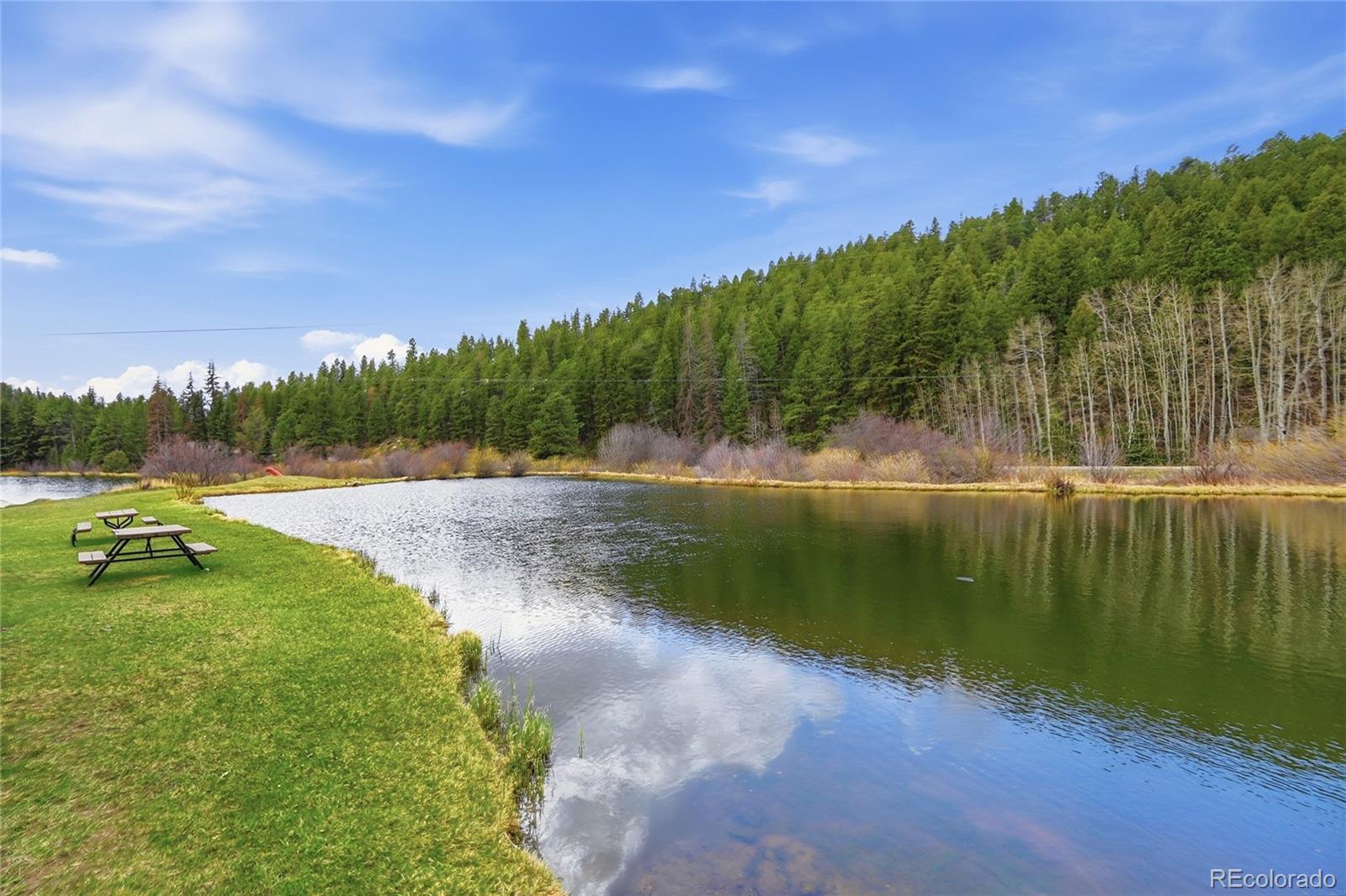 MLS Image #46 for 4718  county road 72 ,bailey, Colorado