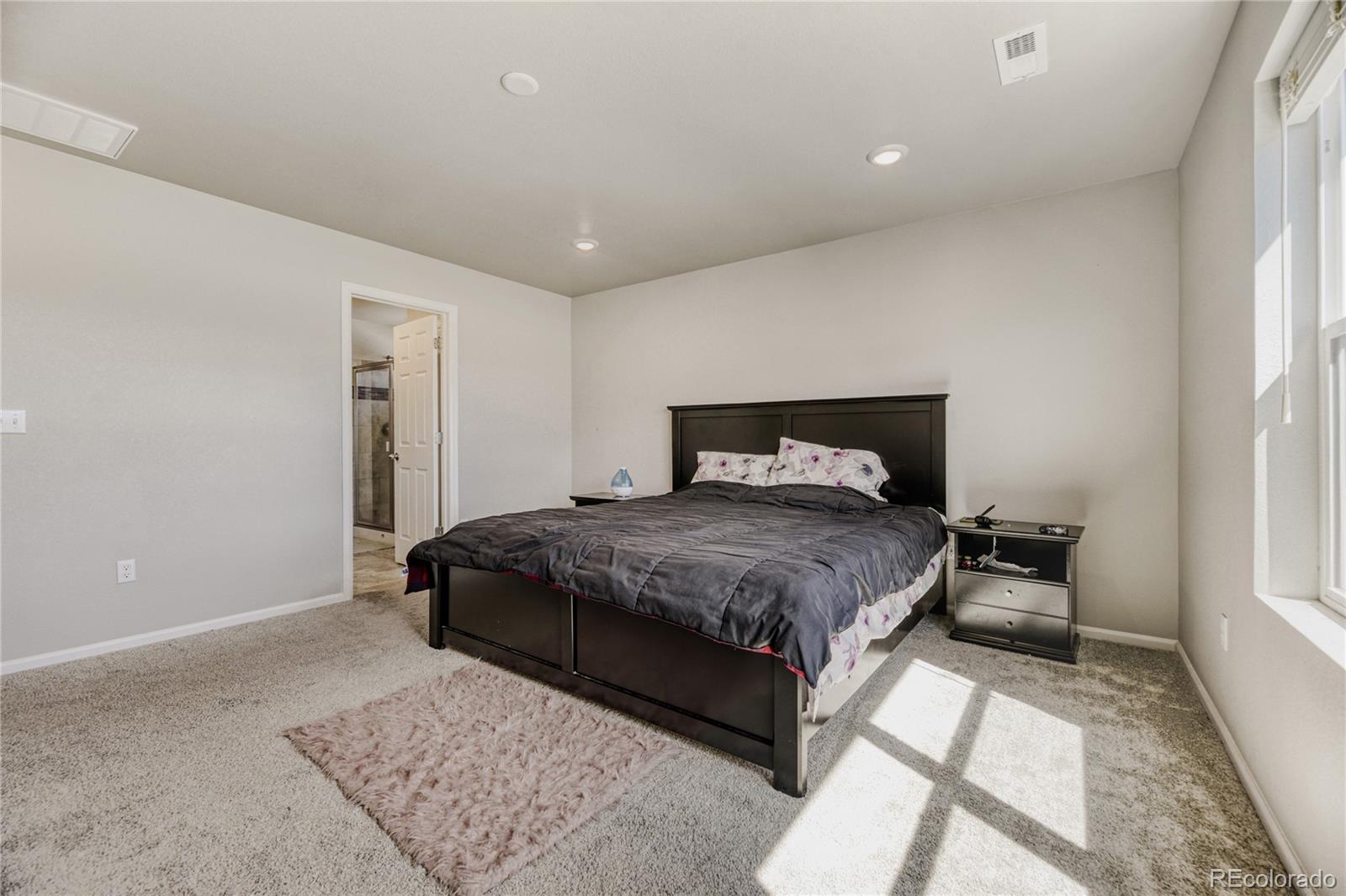 MLS Image #16 for 3686  sandy vista lane,castle rock, Colorado