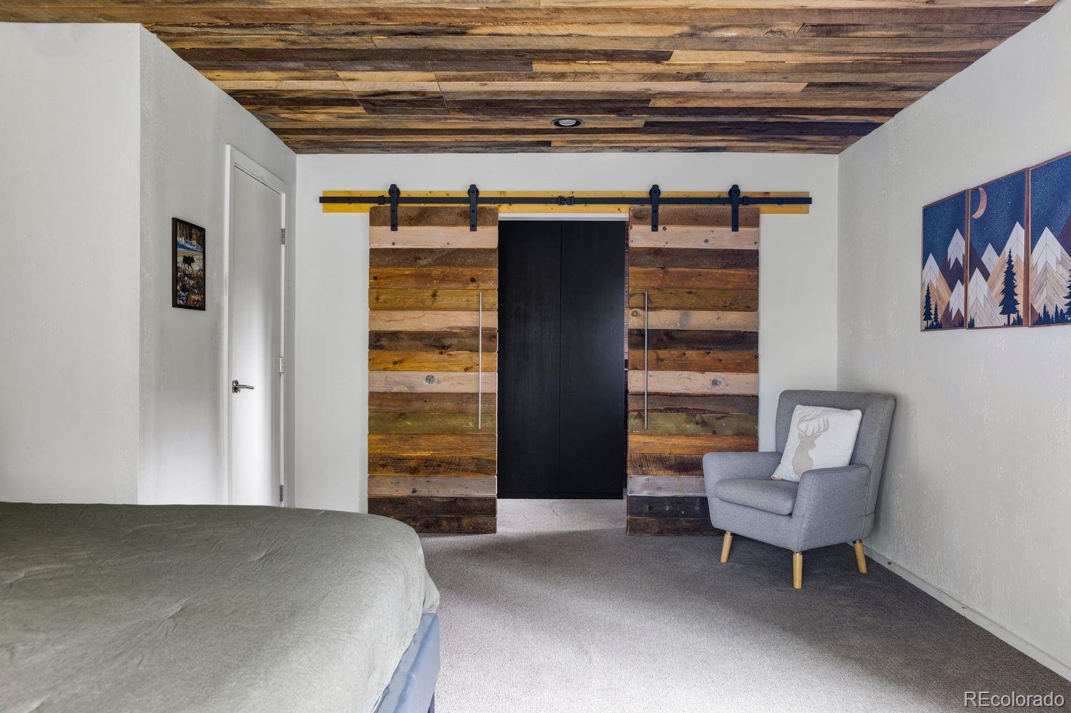 MLS Image #18 for 133  gold run road,alma, Colorado