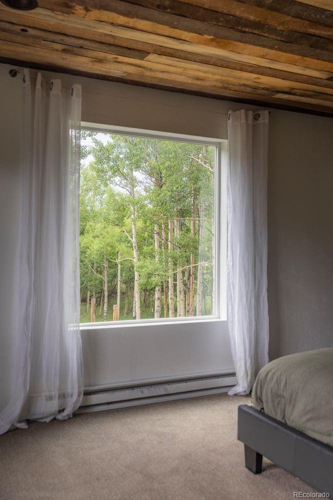 MLS Image #19 for 133  gold run road,alma, Colorado