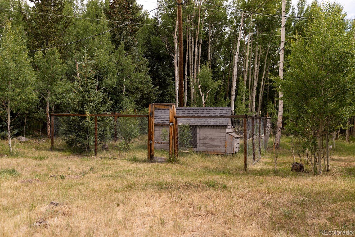 MLS Image #40 for 133  gold run road,alma, Colorado